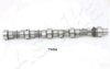 ASHIKA 16TY004 Camshaft
